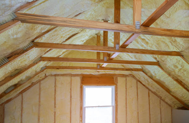 Best Insulation Maintenance and Repair in New Richmond, OH